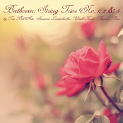 Beethoven: String Trios No. 1 - 3