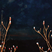 Where the Wind Blows Through You