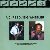 Chicago Blues Session Volume 14