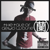 The Tale Of Aeiyo Wolfie