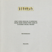 The Unpredictable Landlord by Bedhead