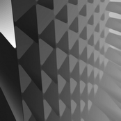 participation trophies