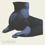 suprema