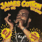 Hard Headed by James Cotton