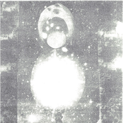 Infant Spirituality Rates Coconut Percent