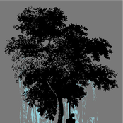 Look At What You've Become