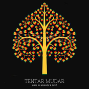 Tentar Mudar