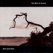 This Time by The Mist Of Avalon