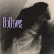 Say You Will by Bodeans