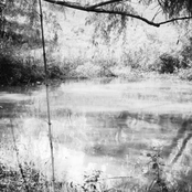 I’ll forever hold onto these memories