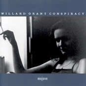 Another Lonely Night by Willard Grant Conspiracy