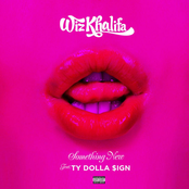 Something New (feat. Ty Dolla $ign)
