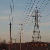 love me, love me not