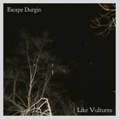 Like Vultures - Single