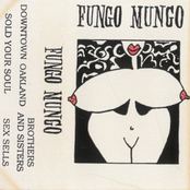 Fungo Mungo