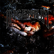 Feather Flesh Appearance by Ingenium