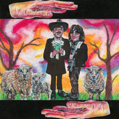 Committed to Cynicism