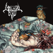 Immortal Bird: Akrasia