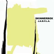 Backed by Skinnerbox