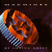 Rite Of Shiva by Machines Of Loving Grace