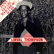 Don't Cut Off Your Dreadlocks