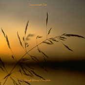 Through Memory's Perception