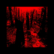 tractatus aureus(full anthology)