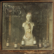 Frozen Charlottes: Wax Venus