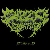 Promo 2019 Artwork