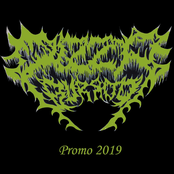 Promo 2019