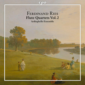 Ries - Flute Quartets Vol. 2