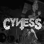 Cyness