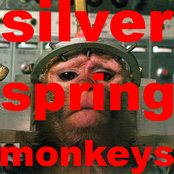 Silver Spring Monkeys (demos)