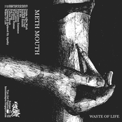 WASTE OF LIFE