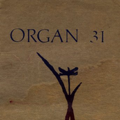 organ 31