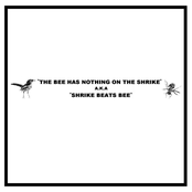 Chuck Schuldiner is the Bastard: Discography