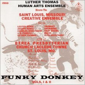 Funky Donkey