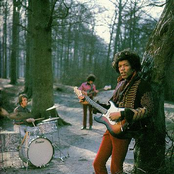 the jimi hendrix experience