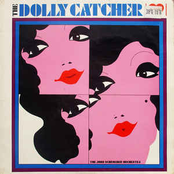 Dolly Catcher