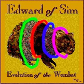 Evolution of the Wombat