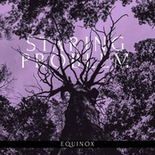 Equinox