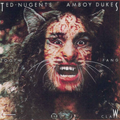 No Holds Barred by The Amboy Dukes