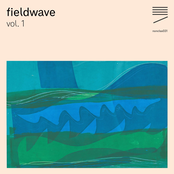 For Now: Fieldwave, Vol. 1