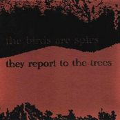 Holding A Grudge by The Birds Are Spies, They Report To The Trees
