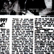 Sensory Perception Is Meaningless