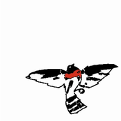 48 Minutes, 7 Seconds Then The Open Air