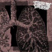 CELLULAR DECAY