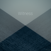 Witness