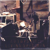 Autopsy of a Living Specimen