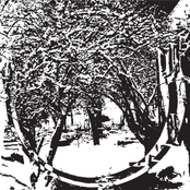 The Social Club No 7